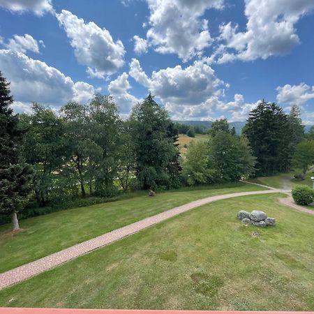 Myschluchseehome Gemuetliche Ferienwohnung Mit Suedbalkon Und Pool Im Haus Extérieur photo