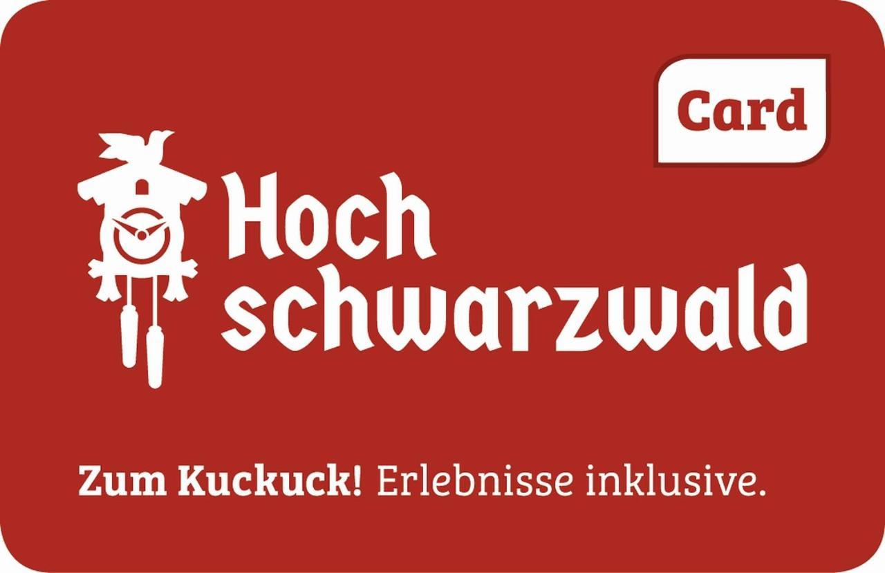 Myschluchseehome Gemuetliche Ferienwohnung Mit Suedbalkon Und Pool Im Haus Extérieur photo
